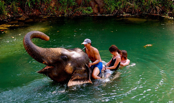 thailand-elephant (1)