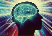 Удивителната Сила на ЕМОЦИИТЕ и Законът за ПРИВЛИЧАНЕТО