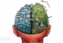 За какво отговарят ЛЯВАТА и ДЯСНАТА половина на МОЗЪКА ни